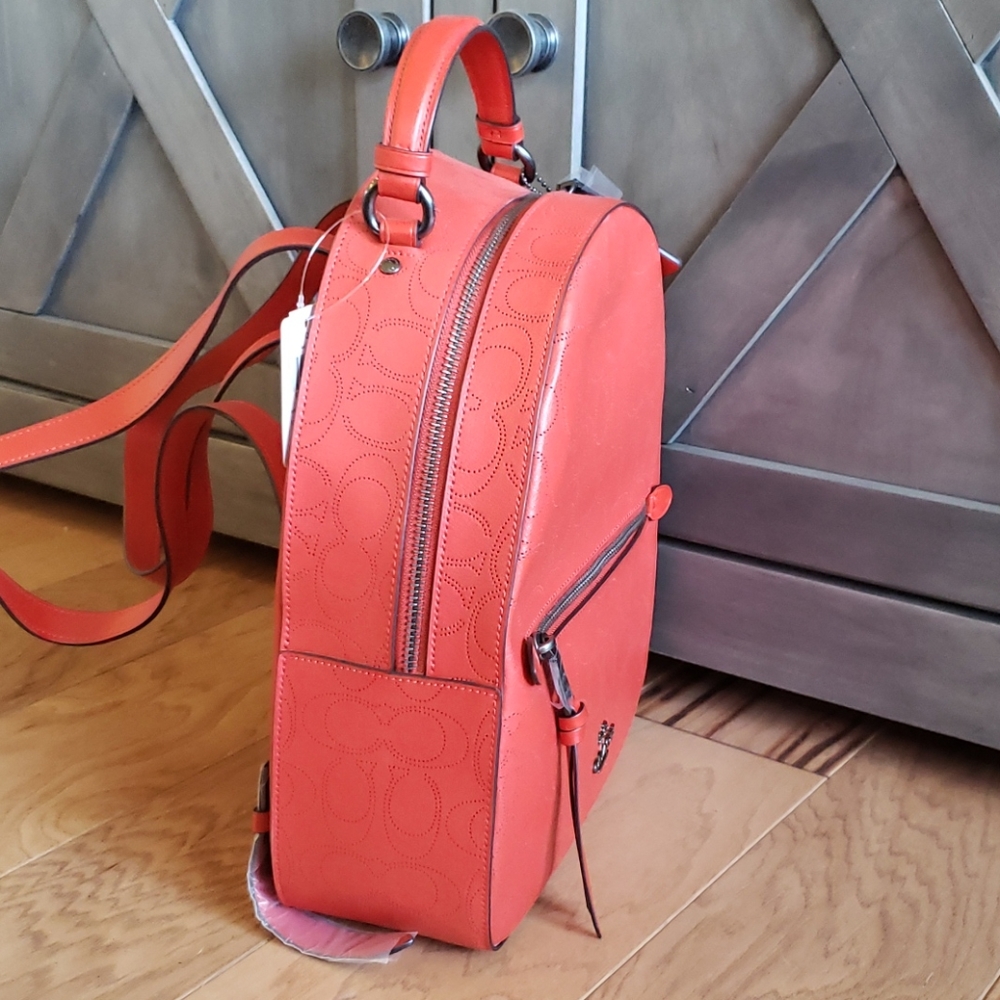 Backpack - Picture 2 of 6